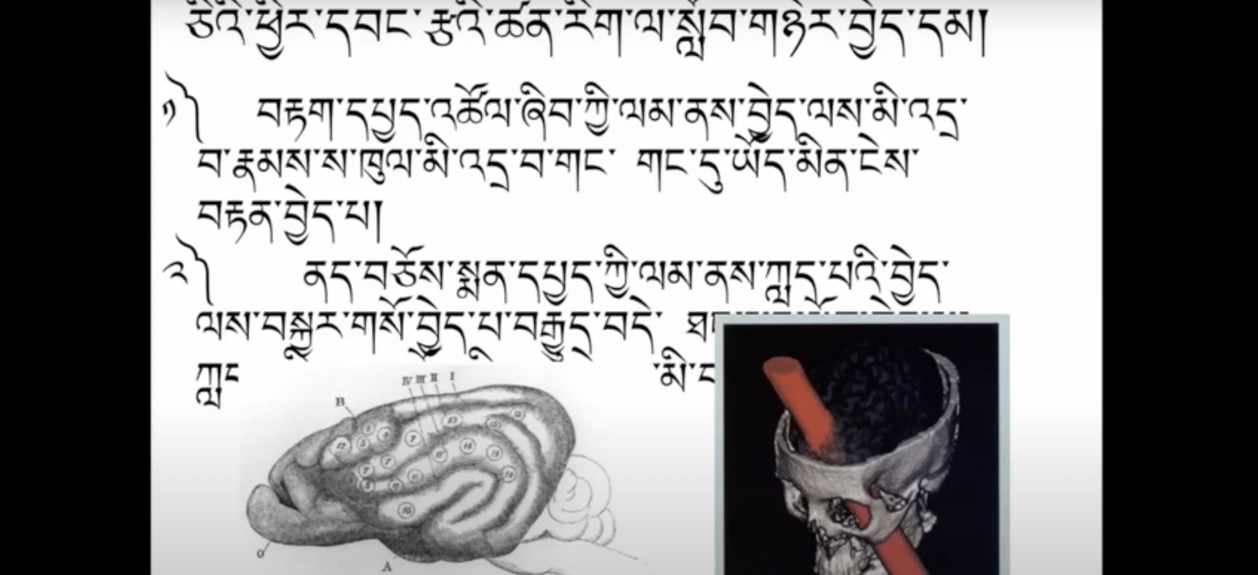 Neuroscience Course 1: Introduction (~17h) དབང་རྩ་ཚན་རིག་གི་སློབ་ཚན་དང་པོ། (~ཆུ་ཚོད་༡༧) Neuroscience Course 1: Introduction (~17h) དབང་རྩ་ཚན་རིག་གི་སློབ་ཚན་དང་པོ། (~ཆུ་ཚོད་༡༧)