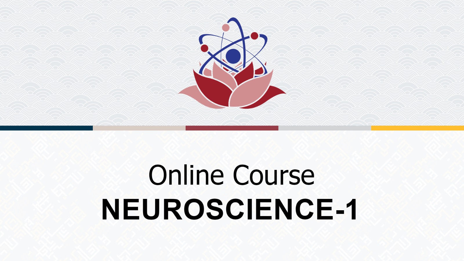 Neuroscience Course 1 (Senses, Advanced) [Bonus] (~3h) དབང་རྩ་ཚན་རིག་གི་སློབ་ཚན་དང་པོ། (དབང་ཚོར། མཐོ་རིམ) [འཕར་མ] (~ཆུ་ཚོད་༣)