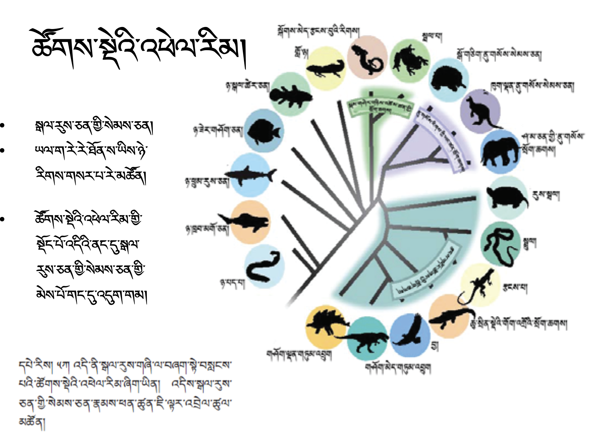Biology Course 2: Evolution (~10h) Biology Course 2: Evolution (~10h)