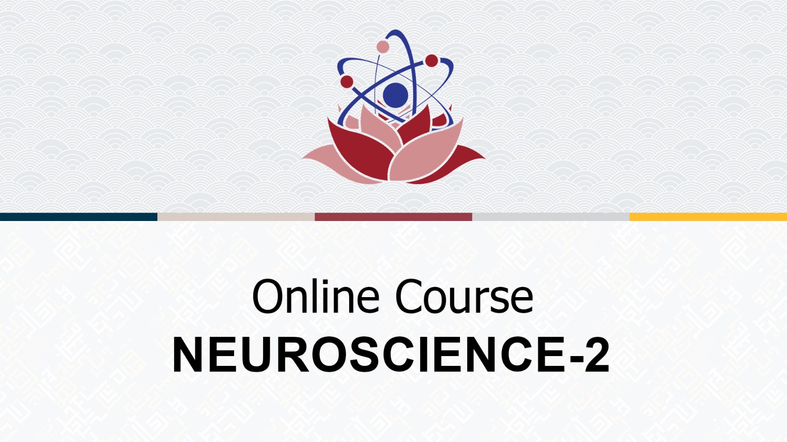 Neuroscience Course 2: Perception and Vision (~12h)